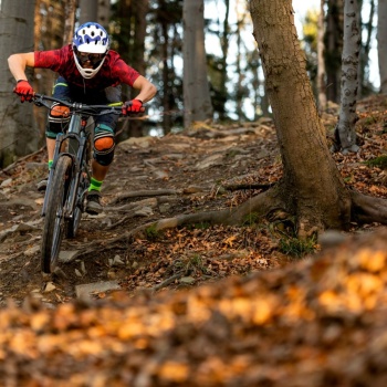 Season-Favorit Herbst: Warum jetzt die beste Zeit zum Mountainbiken ist