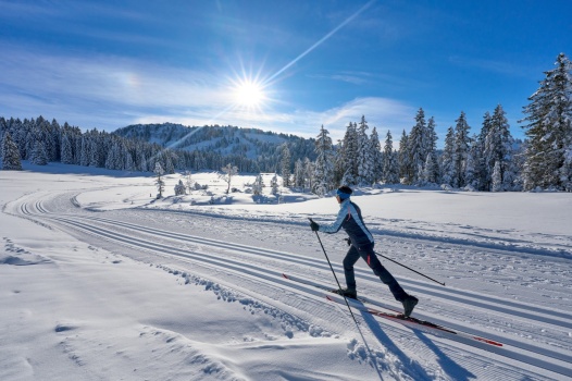 Gesundheitsbooster Langlauf