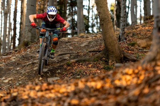 Den Artikel lesen: Season-Favorit Herbst: Warum jetzt die beste Zeit zum Mountainbiken ist