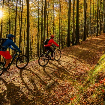 Fit für die Piste: Darum ist der Herbstanfang der beste Zeitpunkt für den Trainings-Restart