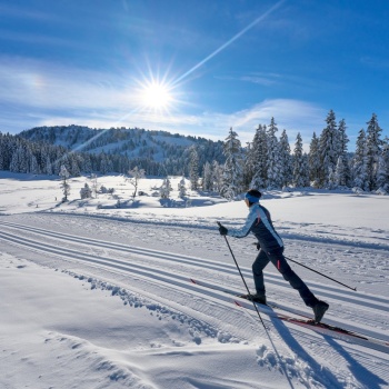 Gesundheitsbooster Langlauf