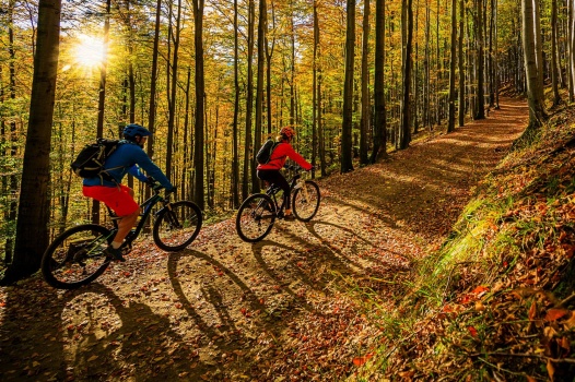 Fit für die Piste: Darum ist der Herbstanfang der beste Zeitpunkt für den Trainings-Restart