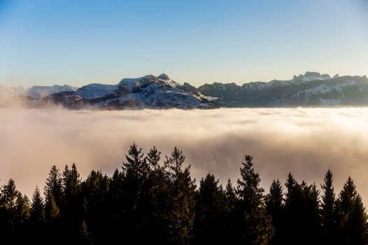 Den Artikel lesen: Das richtige Equipment für die goldene Wandersaison