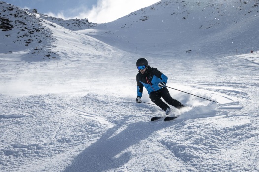 Den Artikel lesen: Schwünge im ewigen Eis