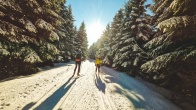 Den Artikel lesen: Das A und O: der richtige Langlaufski