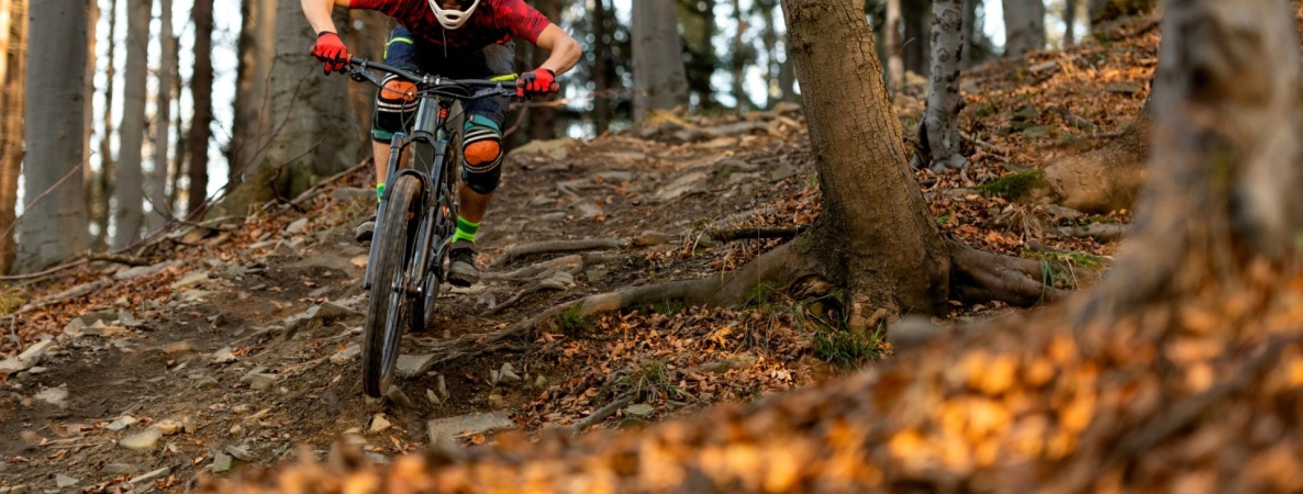 Season-Favorit Herbst: Warum jetzt die beste Zeit zum Mountainbiken ist