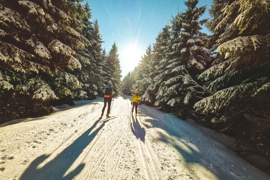 Den Artikel lesen: Das A und O: der richtige Langlaufski